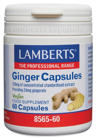 JENGIBRE (GINGER) CÁP LAMBERTS.