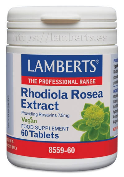 RHODIOLA ROSEA 250MG NUEVA