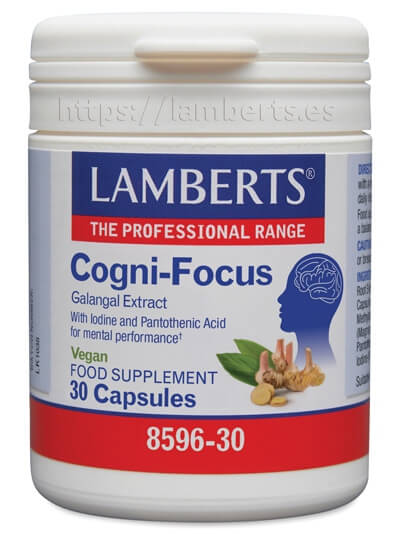 COGNI FOCUS (EXTRACTO DE GALANGAL). 